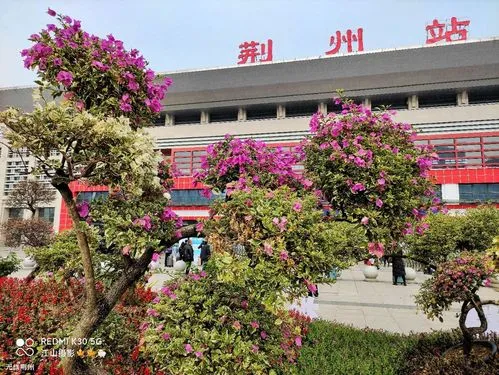 杭州到荆州物流专线-杭州到荆州货运-携手发展-华远物流